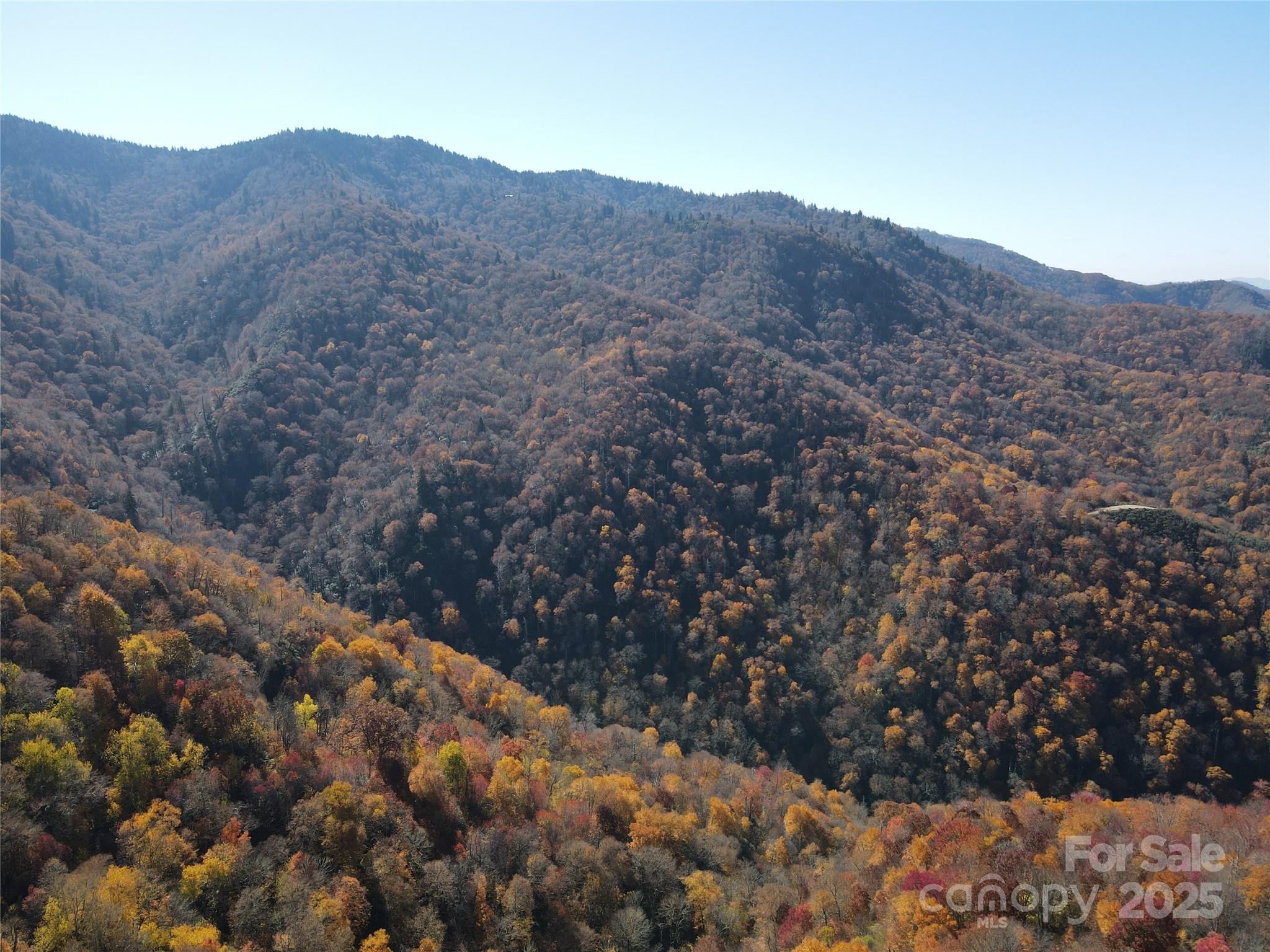 3689 Plott Balsam Road Maggie Valley, NC 28751 - Photo 22 of 33