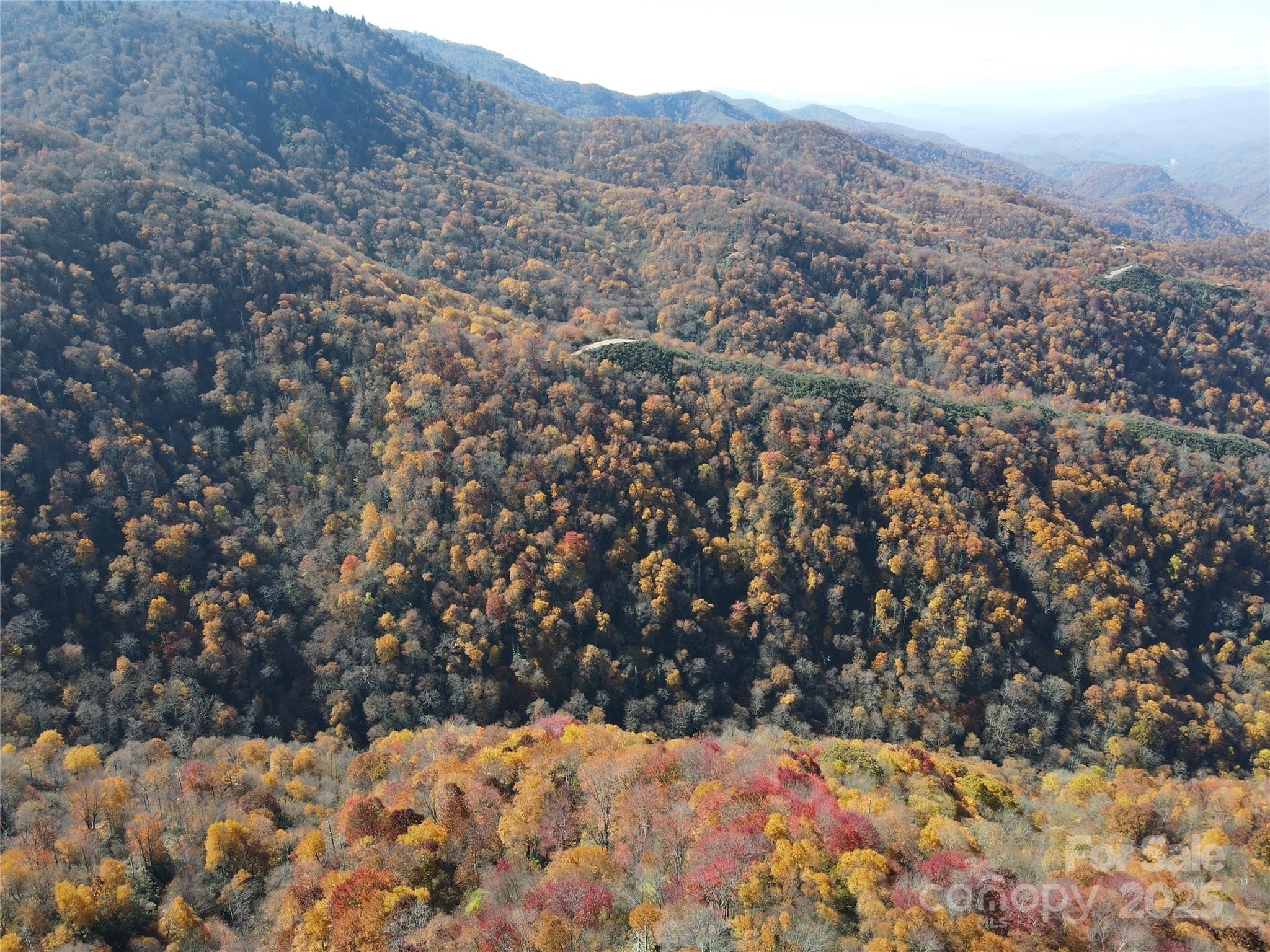 3689 Plott Balsam Road Maggie Valley, NC 28751 - Photo 24 of 33 a view of a yard covered with snow