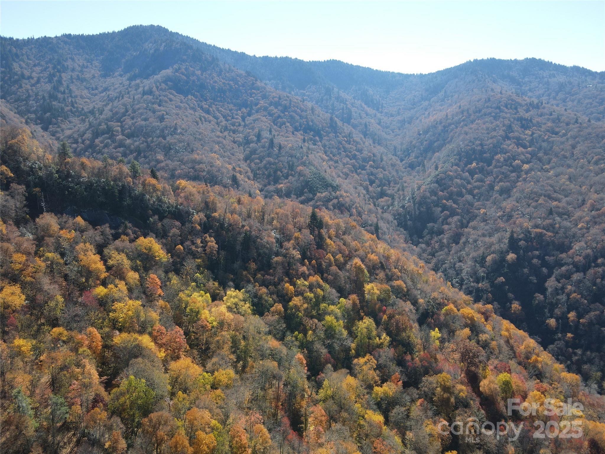 3689 Plott Balsam Road Maggie Valley, NC 28751 - Photo 26 of 33 a view of a dry yard