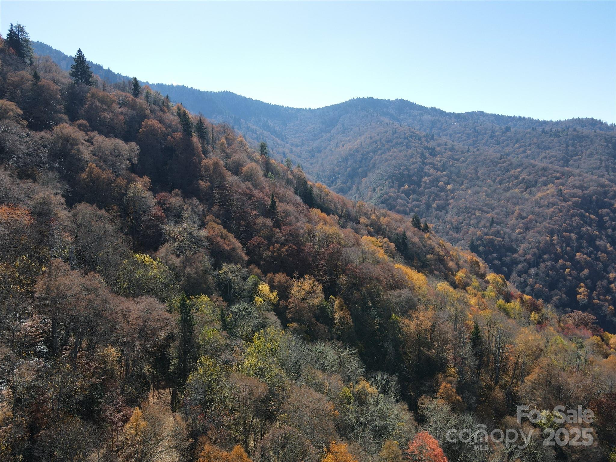 3689 Plott Balsam Road Maggie Valley, NC 28751 - Photo 27 of 33 a view of a house with a mountain and a forest