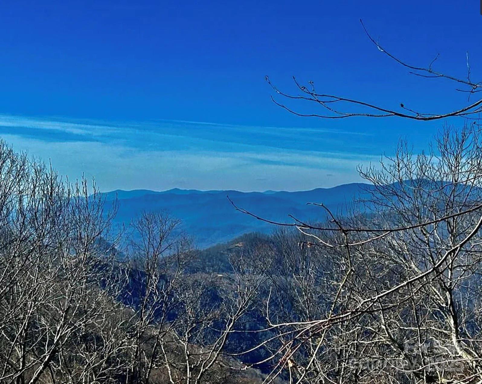 3689 Plott Balsam Road Maggie Valley, NC 28751 - Photo 31 of 33 a view of a yard with an outdoor space