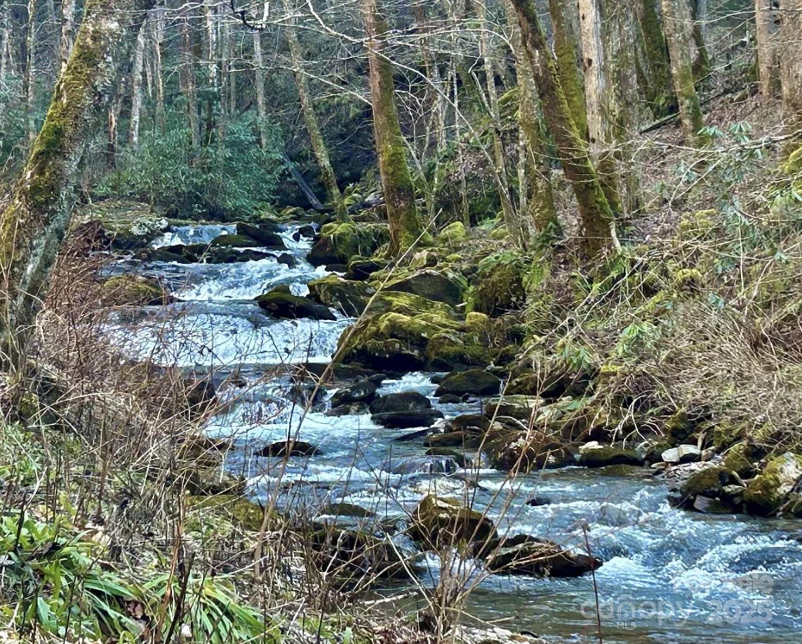 3689 Plott Balsam Road Maggie Valley, NC 28751 - Photo 32 of 33 a backyard of a house with lots of green space