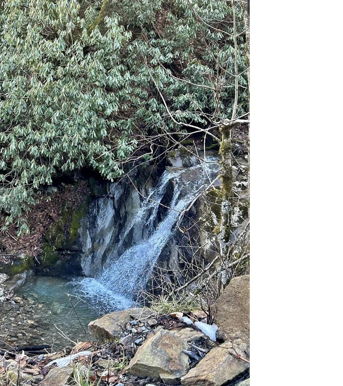 3689 Plott Balsam Road Maggie Valley, NC 28751 - Photo 33 of 33 a view of a yard