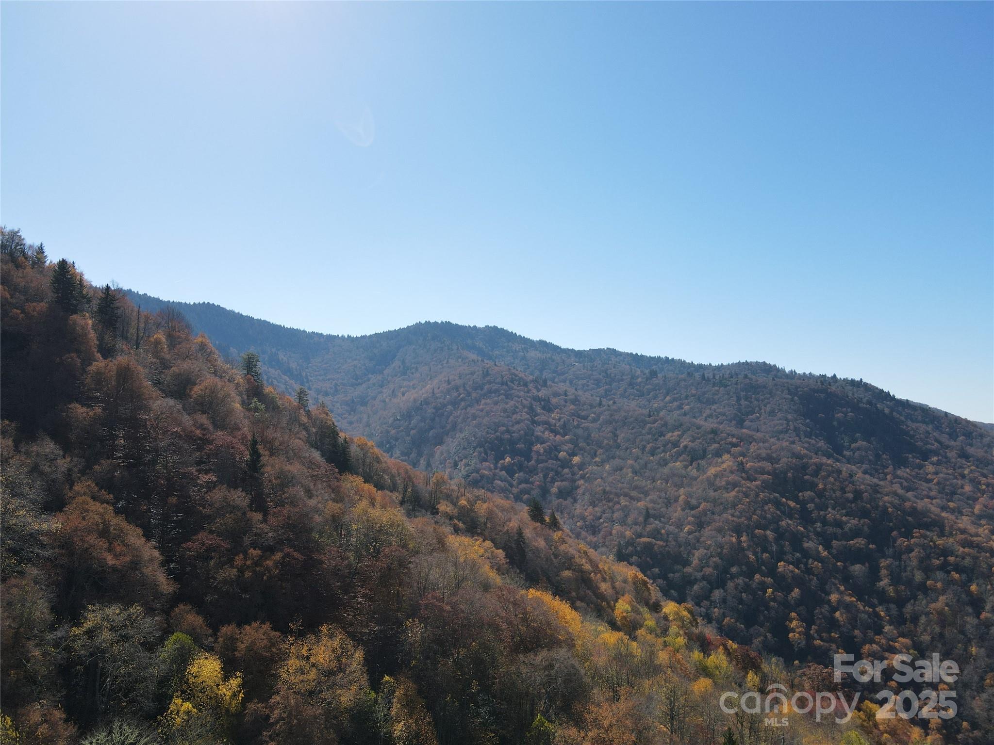3689 Plott Balsam Road Maggie Valley, NC 28751 - Photo 6 of 33 a view of a house with a mountain in the background