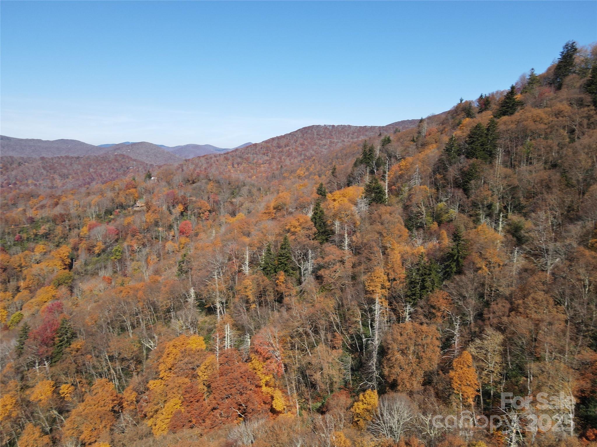 3689 Plott Balsam Road Maggie Valley, NC 28751 - Photo 7 of 33 a view of a mountain