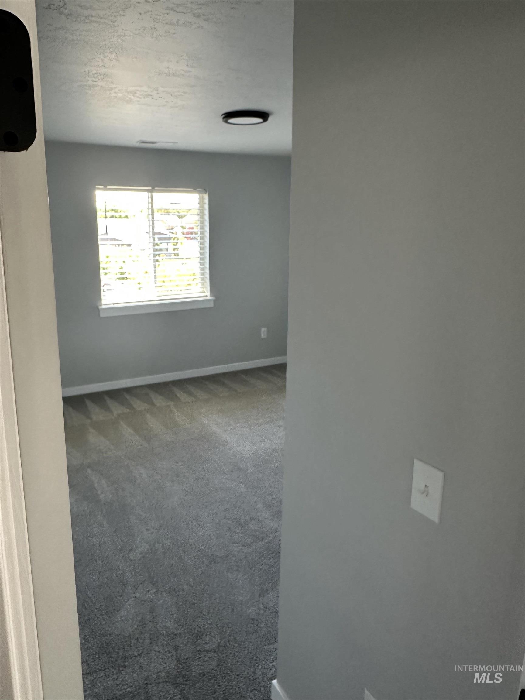 3039 South Alcamo Way Meridian, ID 83642 - Photo 17 of 20 Walk-in closet featuring carpet flooring, built-in shelving, hanging rods, and a ceiling-mounted light fixture