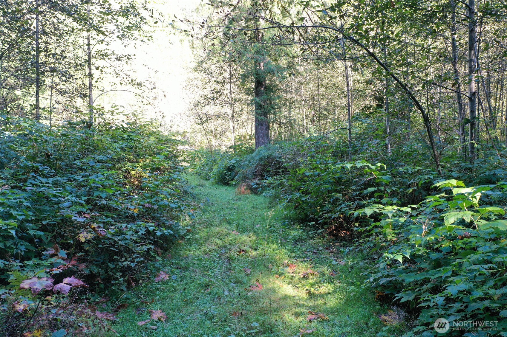 0 Index-Galena Road Index, WA 98256 - Photo 1 of 20 Gallery Image 1