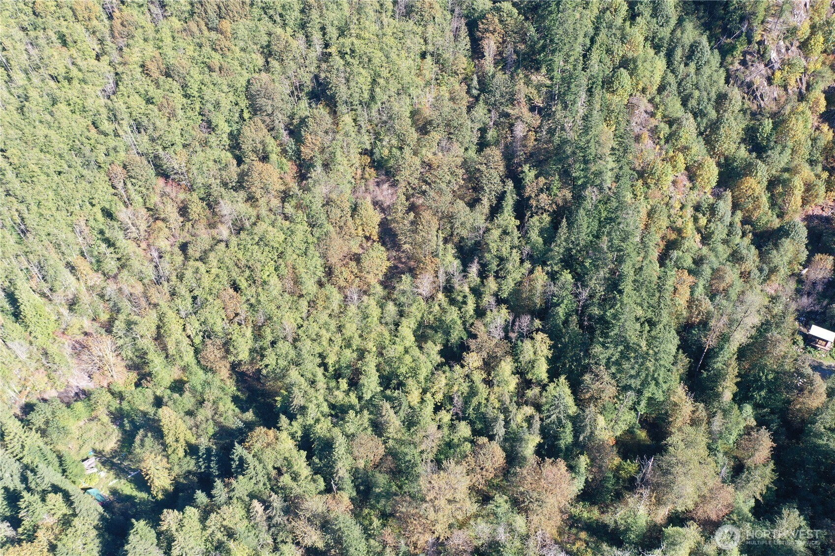0 Index-Galena Road Index, WA 98256 - Photo 11 of 20 Gallery Image 11