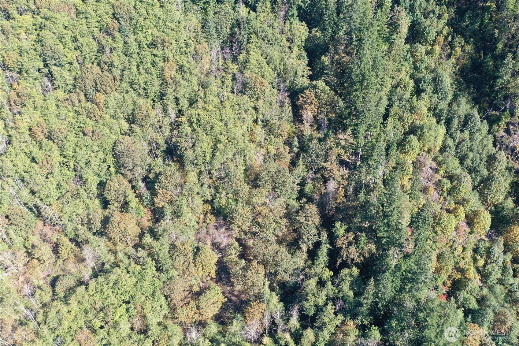 0 Index-Galena Road Index, WA 98256 - Photo 12 of 20 Gallery Image 12