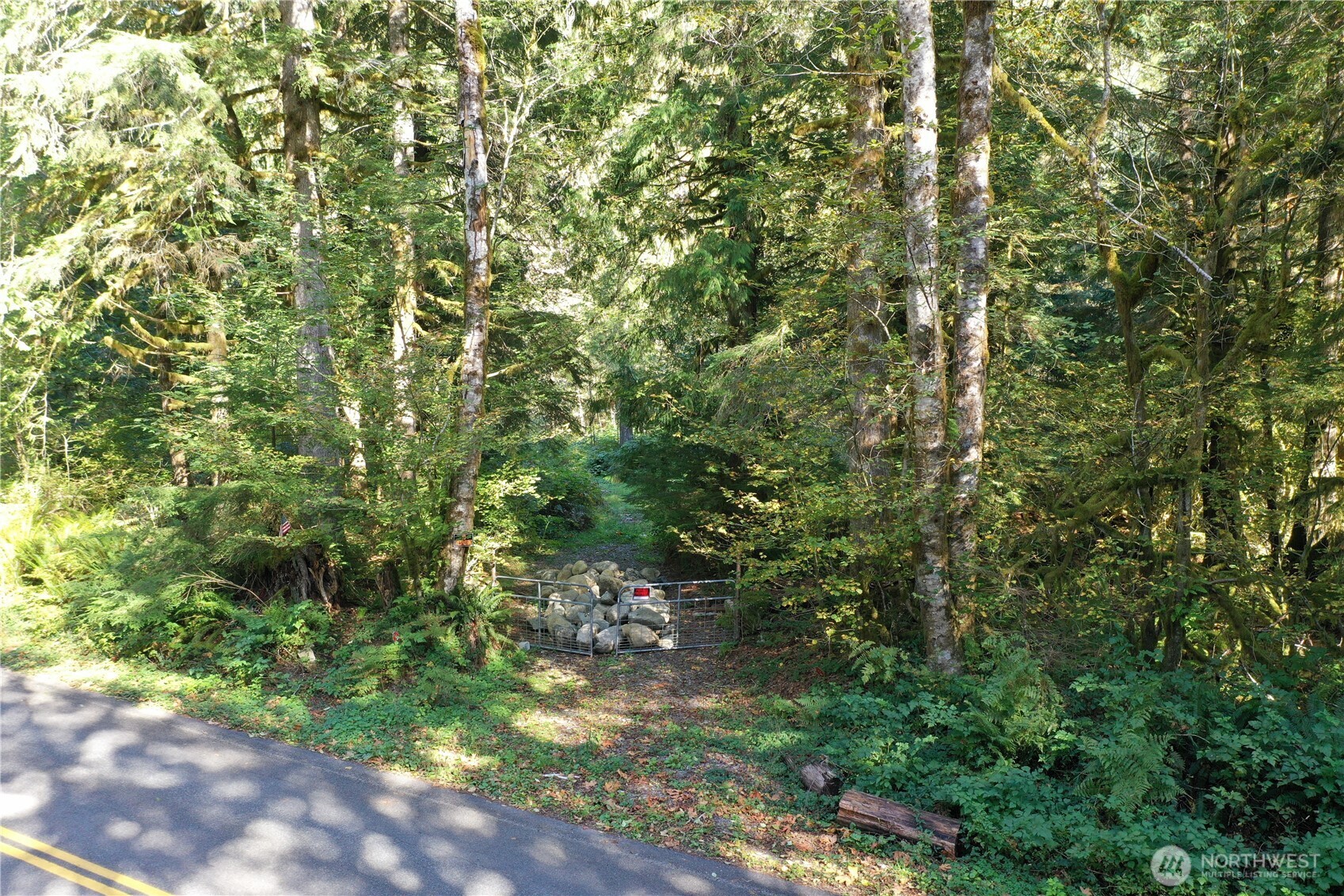 0 Index-Galena Road Index, WA 98256 - Photo 14 of 20 Gallery Image 14
