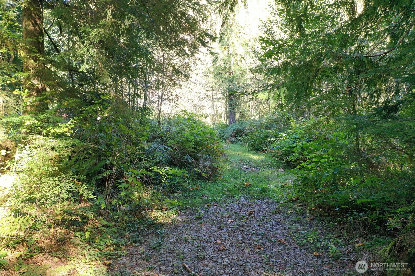0 Index-Galena Road Index, WA 98256 - Photo 16 of 20 Gallery Image 16