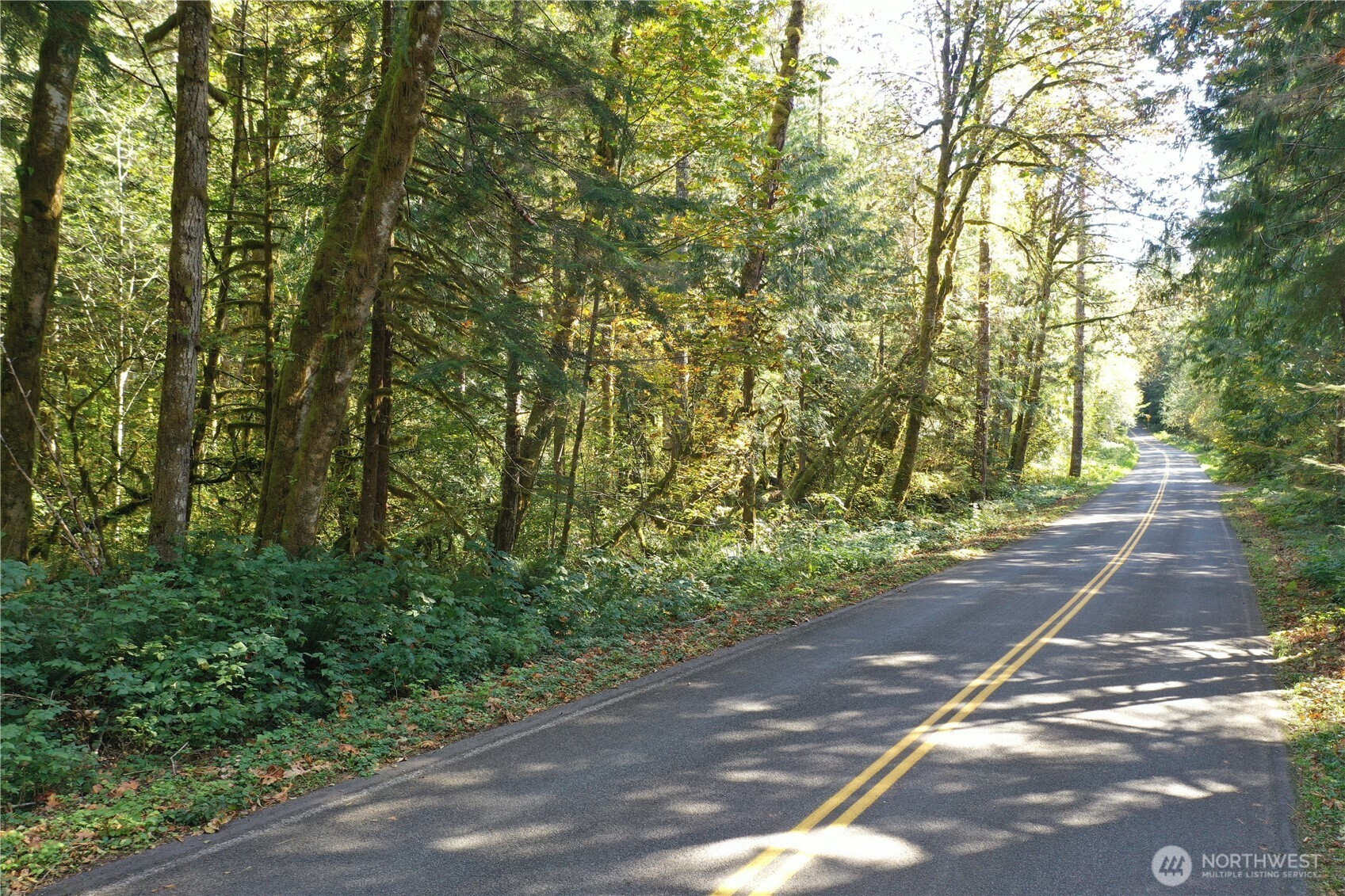 0 Index-Galena Road Index, WA 98256 - Photo 4 of 20 Gallery Image 4