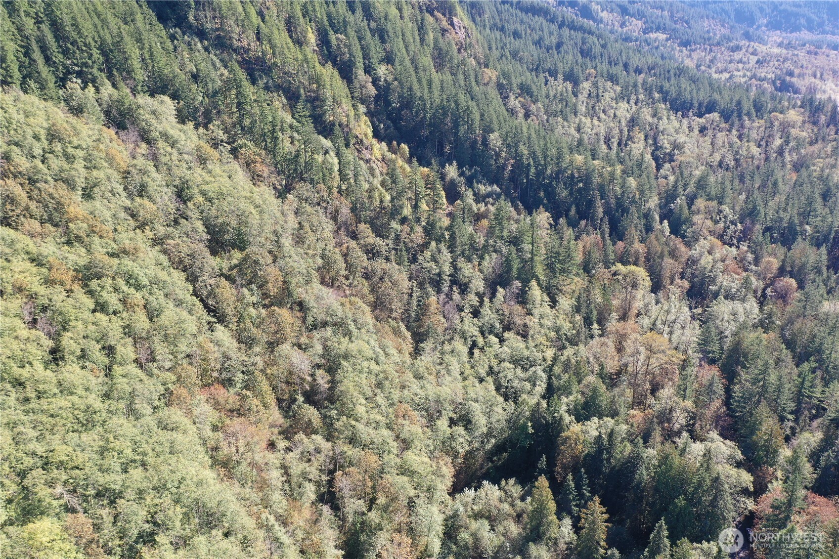 0 Index-Galena Road Index, WA 98256 - Photo 5 of 20 Gallery Image 5