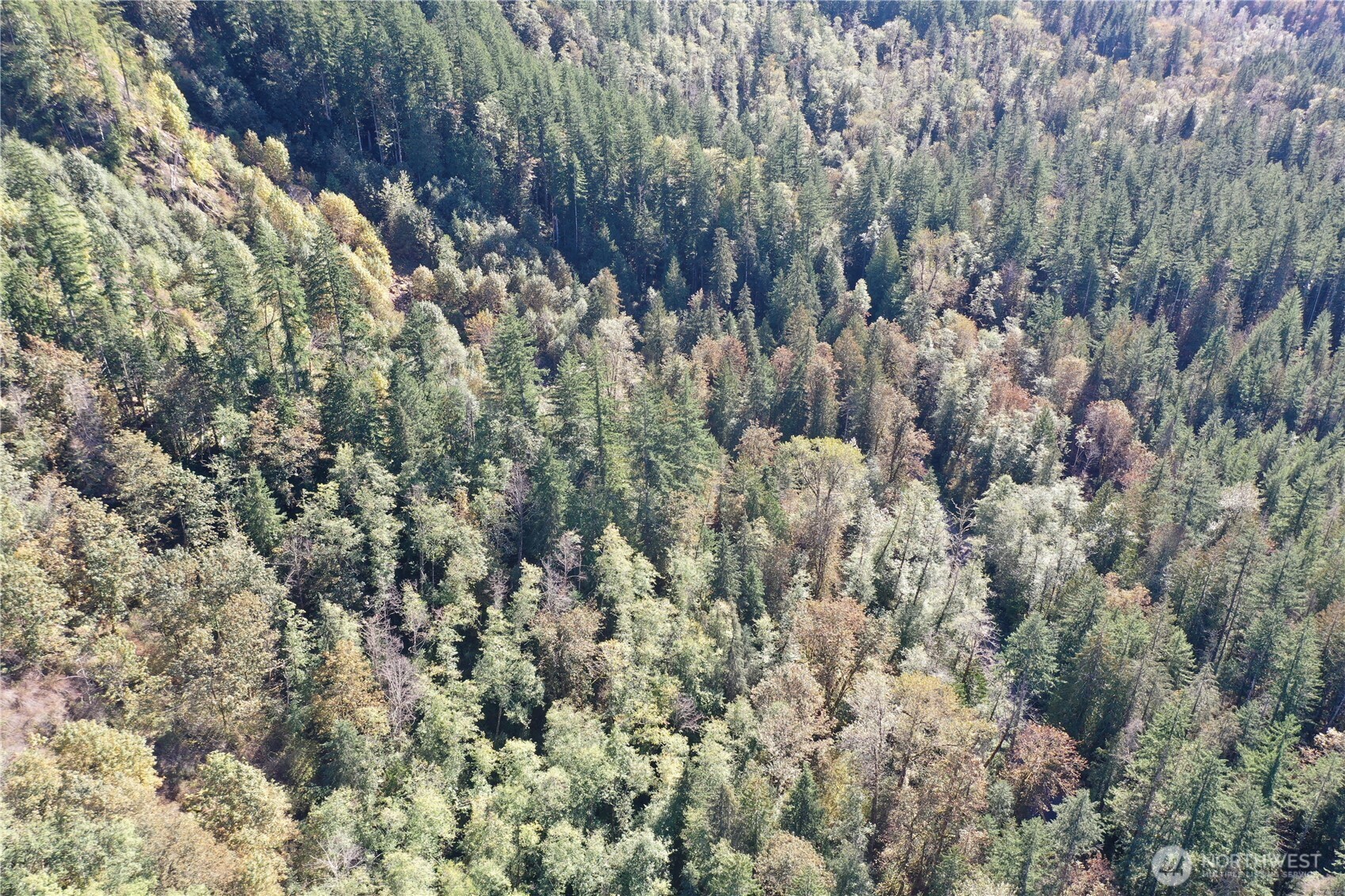 0 Index-Galena Road Index, WA 98256 - Photo 9 of 20 Gallery Image 9