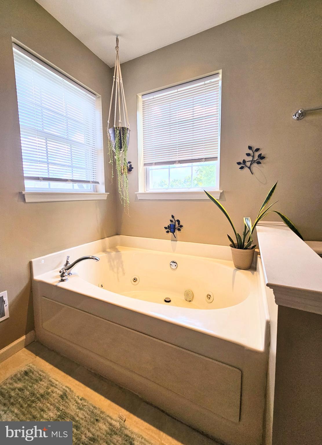 231 Deerfield Lane Lititz, PA 17543 - Photo 16 of 25 Jetted soaking tub in Master suite.
