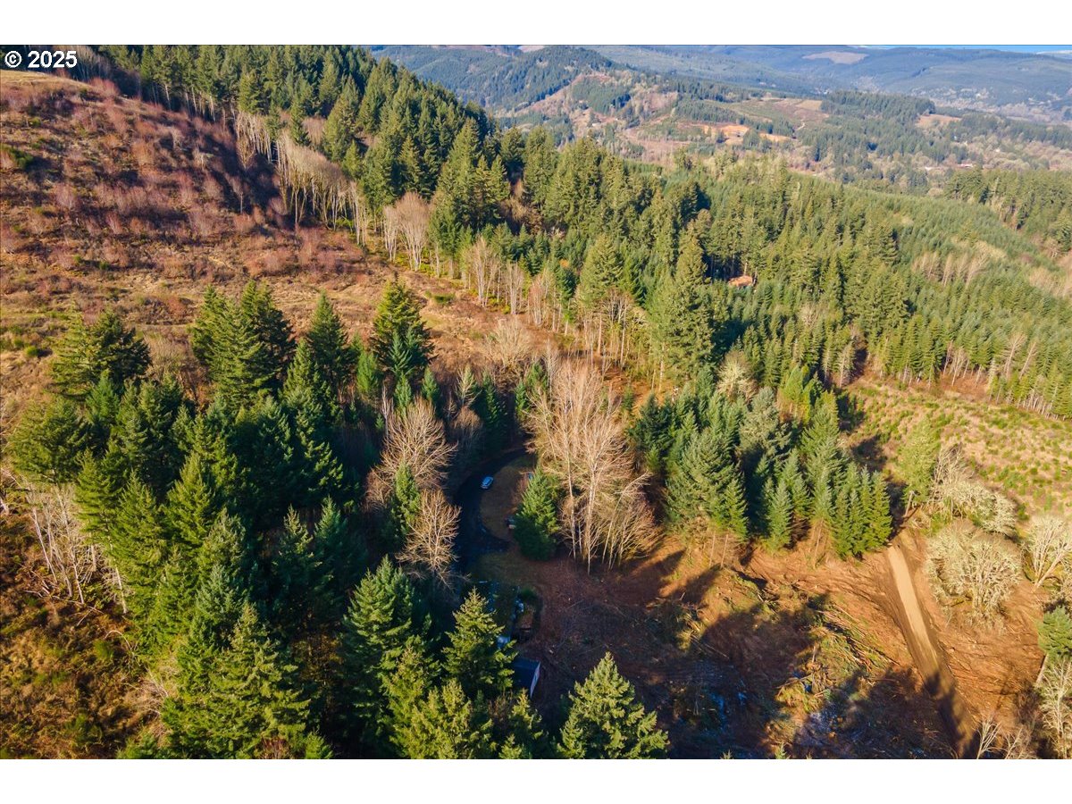 14250 Northwest Bear Road Yamhill, OR 97148 - Photo 41 of 42