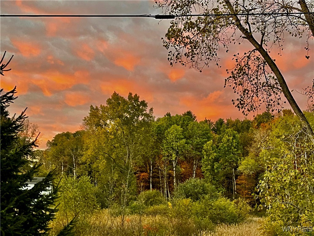 9954 Vermont Hill Road Holland, NY 14080 - Photo 38 of 39