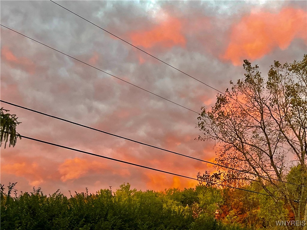 9954 Vermont Hill Road Holland, NY 14080 - Photo 39 of 39