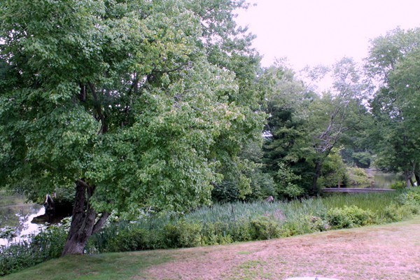 1349 Parker Street Springfield, MA 01129 - Photo 22 of 25 Gallery Image 22