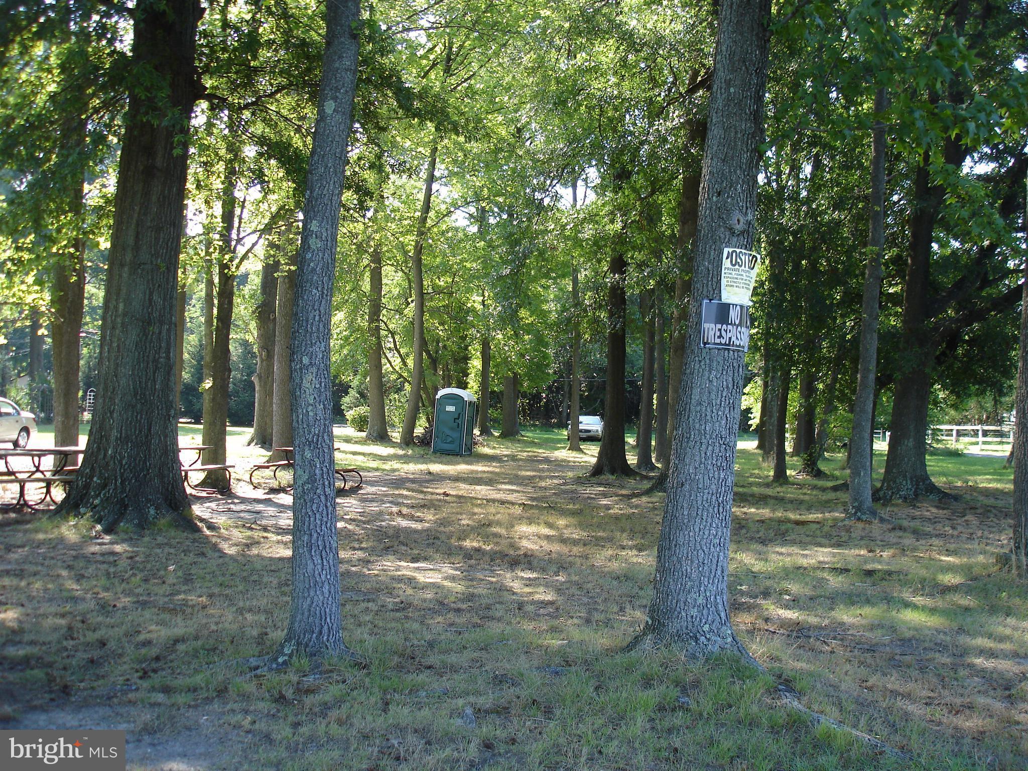 3720 Chestnut Road Middle River, MD 21220 - Photo 5 of 12 a view of a tree in the middle of a yard