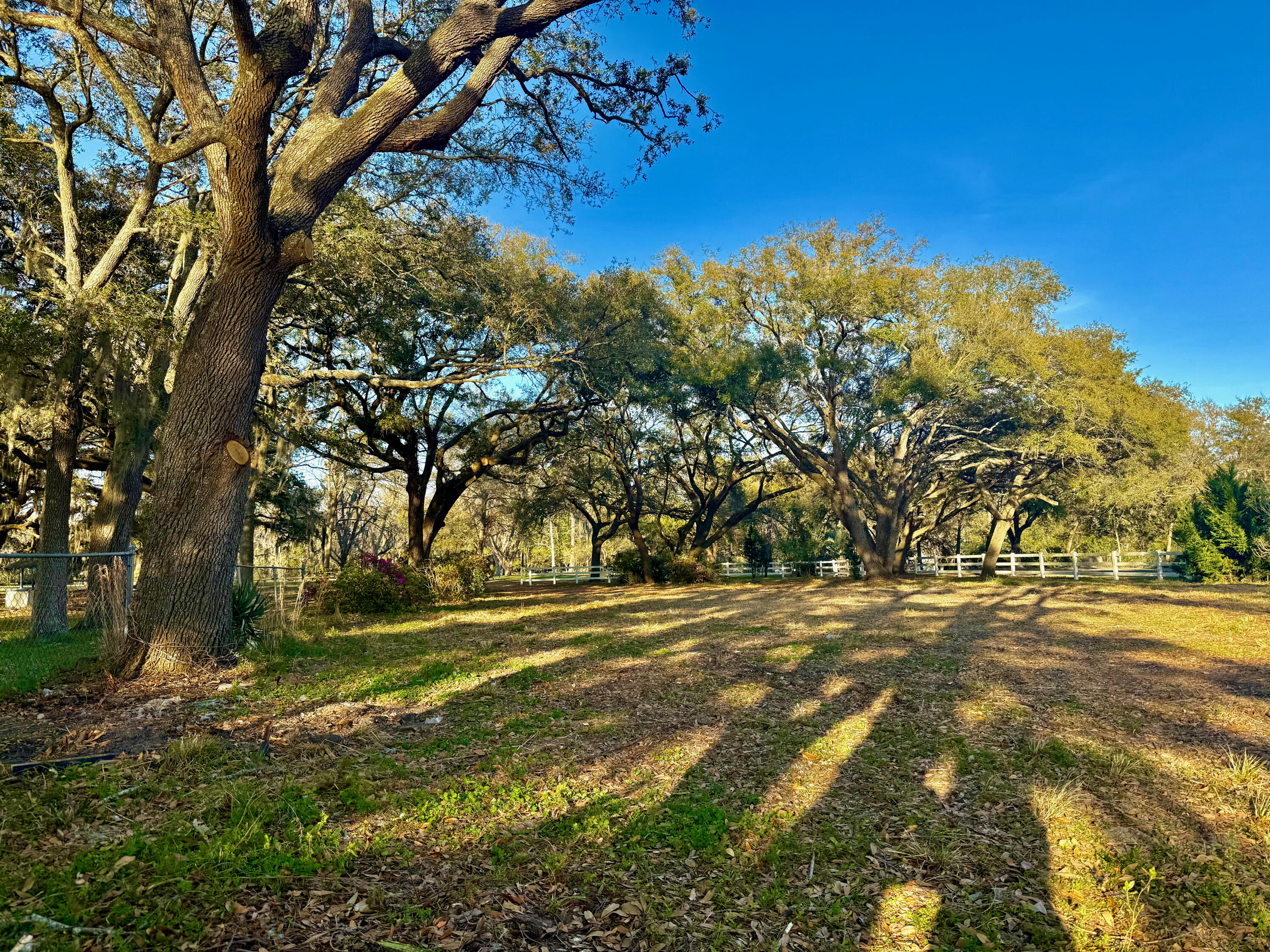 4559 Smoak Road Meggett, SC 29449 - Photo 5 of 30 .49 acre cleared
