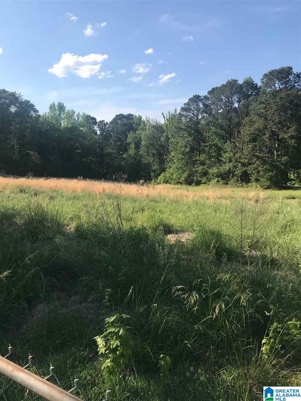 5367 Hollis Goodwin Road Dora, AL 35062 - Photo 13 of 19