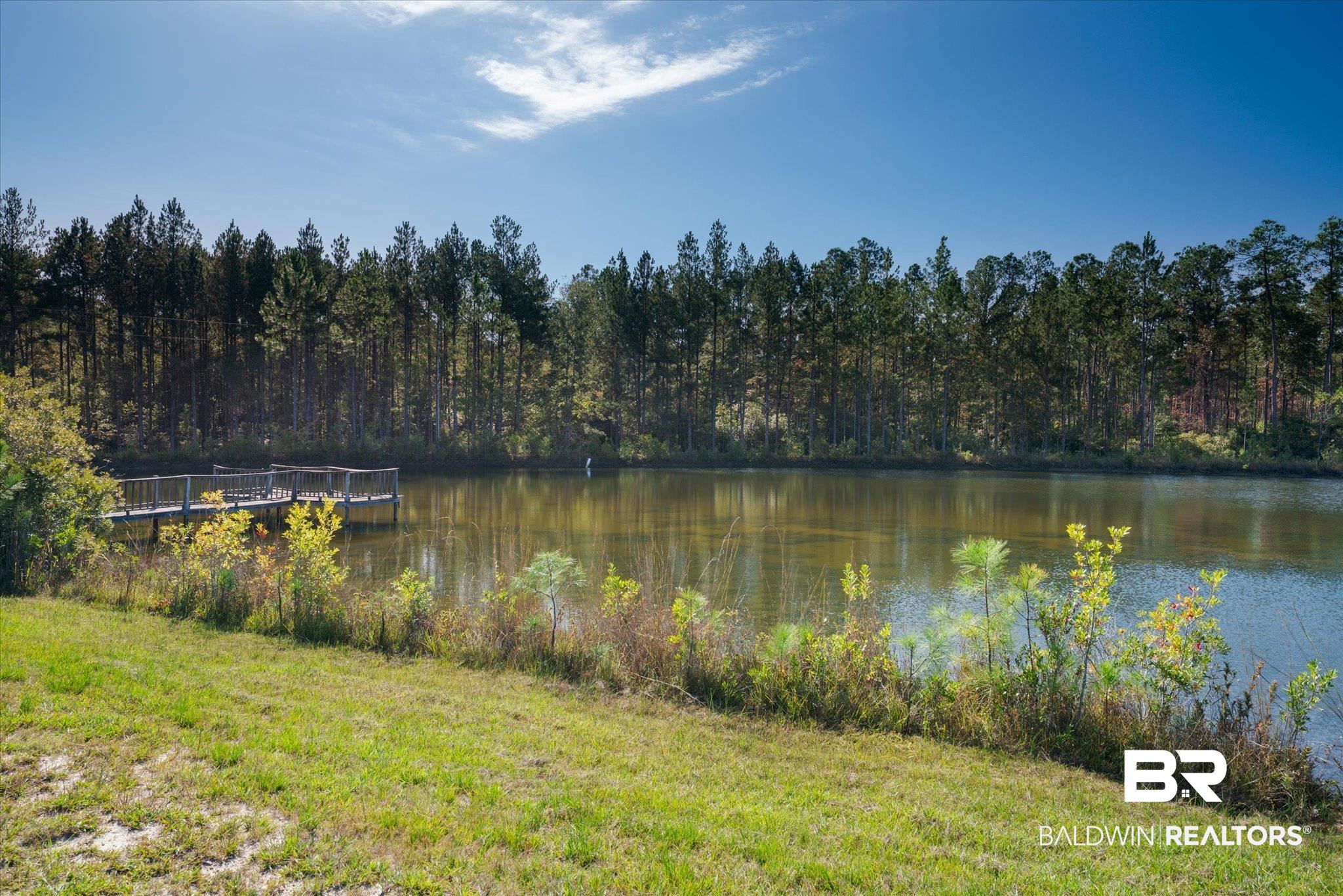 890 Jelks Road Wagarville, AL 36585 - Photo 38 of 50
