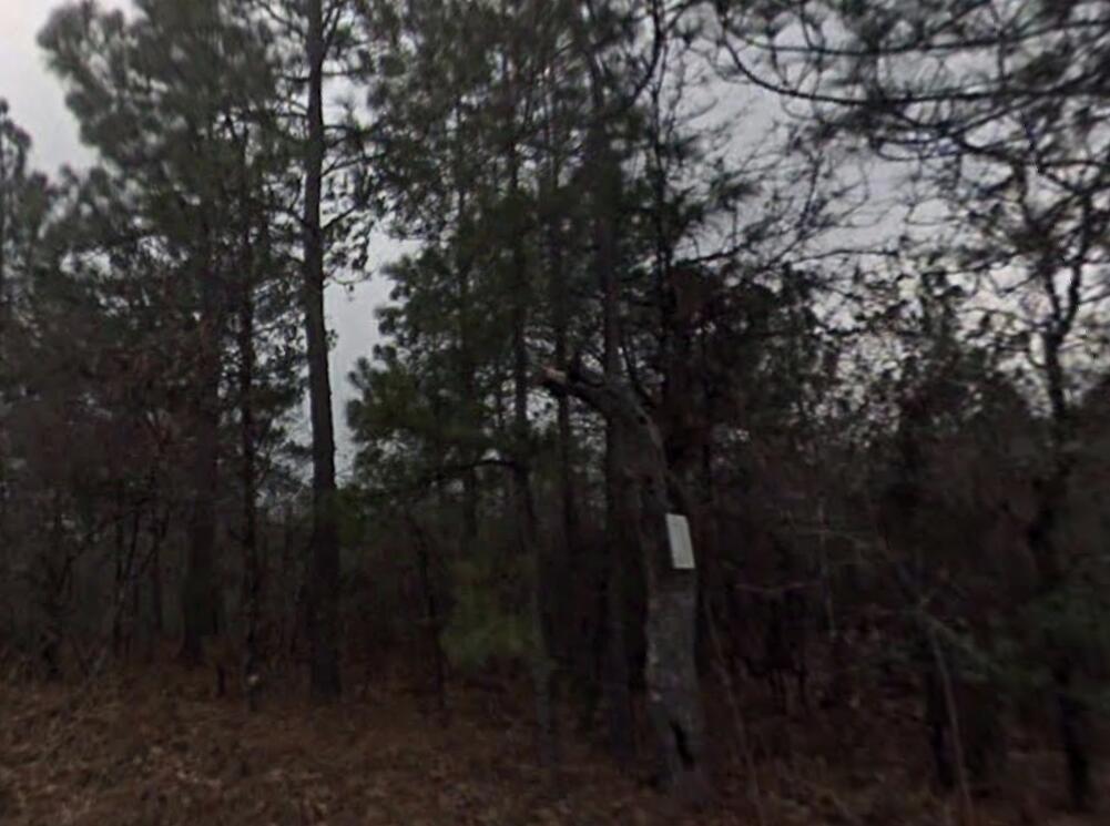 Tbd Baughmanville Road Wagener, SC 29164 - Photo 3 of 4 Gallery Image 3
