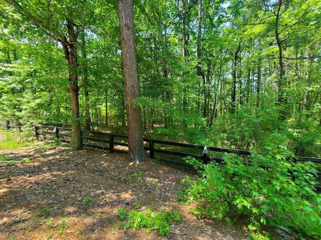 610 Wills Road, Unit 2 Blackstone, VA 23824 - Photo 12 of 23 Gallery Image 12