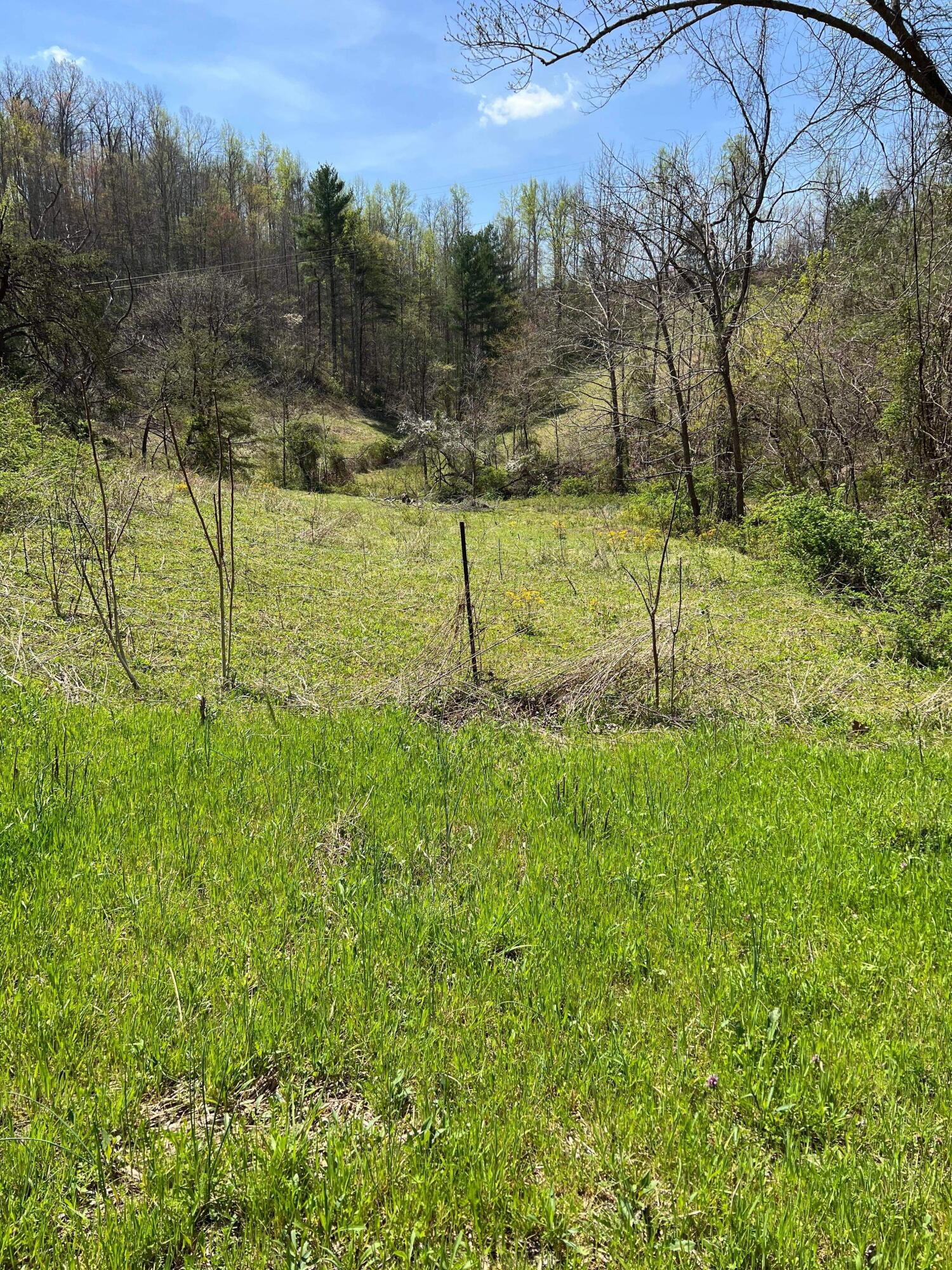 1 Dunn Road Campton, KY 41301 - Photo 28 of 69 IMG_7901