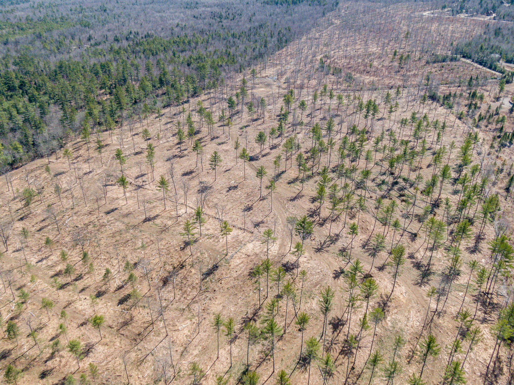 Tbd Swan Hill Road Bethel, ME 04217 - Photo 7 of 20 Swan Hill Lot-9