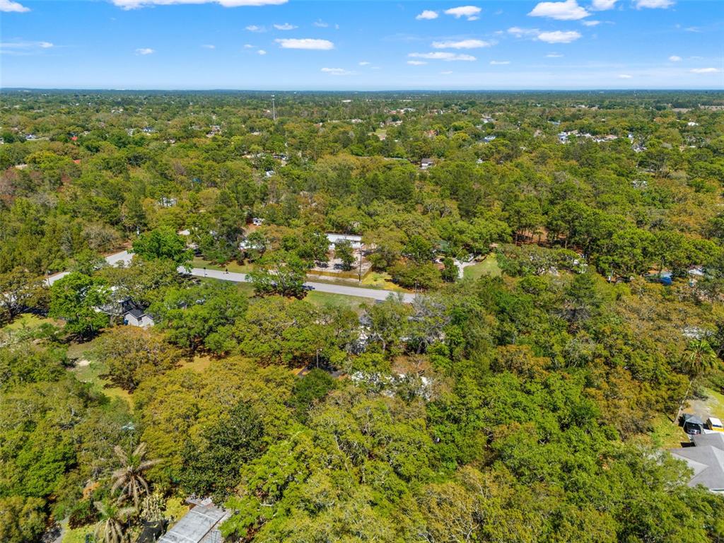 3345 Ballard Street Spring Hill, FL 34606 - Photo 25 of 51
