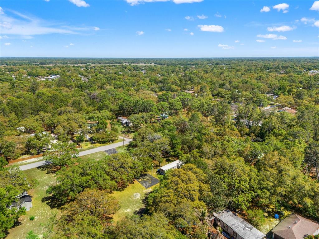 3345 Ballard Street Spring Hill, FL 34606 - Photo 26 of 51
