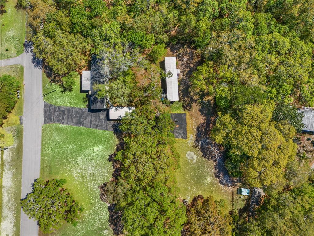 3345 Ballard Street Spring Hill, FL 34606 - Photo 27 of 51