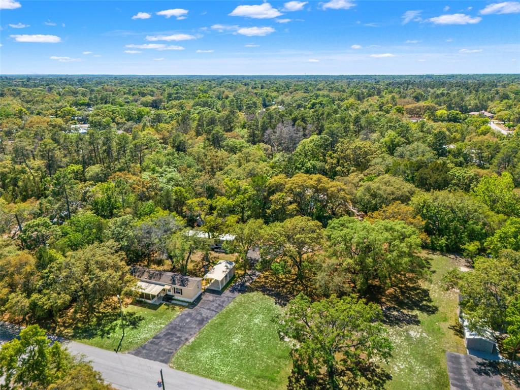3345 Ballard Street Spring Hill, FL 34606 - Photo 29 of 51