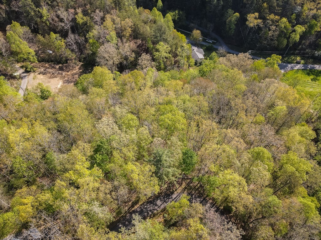 111 Hatcher Mountain Road Sevierville, TN 37862 - Photo 7 of 7