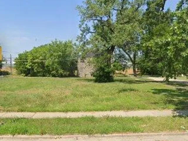 a view of yard with green space