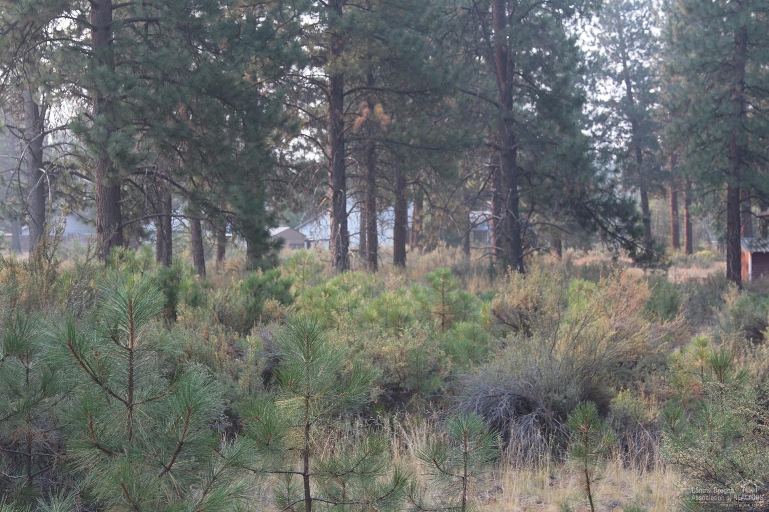 60290 Cinder Butte Road Bend, OR 97702 - Photo 1 of 5 Primary Photo