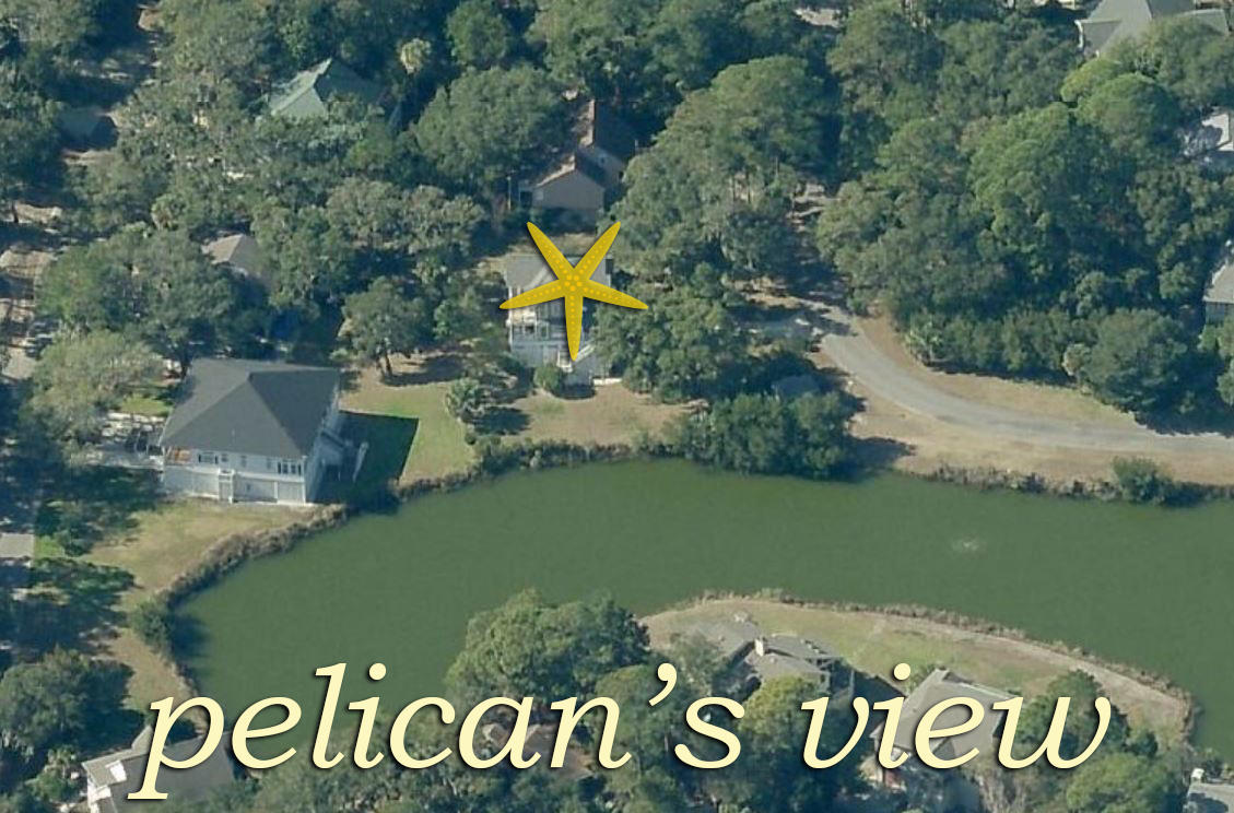 81 Gun Bluff Road Edisto Beach, SC 29438 - Photo 26 of 32 26 aerial