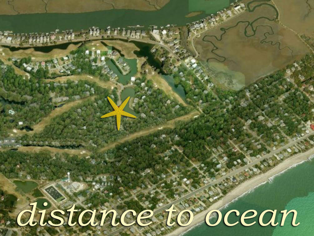 81 Gun Bluff Road Edisto Beach, SC 29438 - Photo 28 of 32 29 distance to ocean