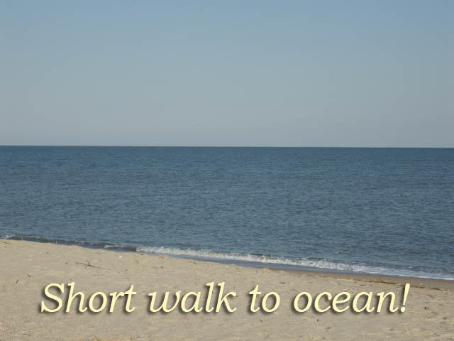 81 Gun Bluff Road Edisto Beach, SC 29438 - Photo 29 of 32 744 Fairway Dr-29
