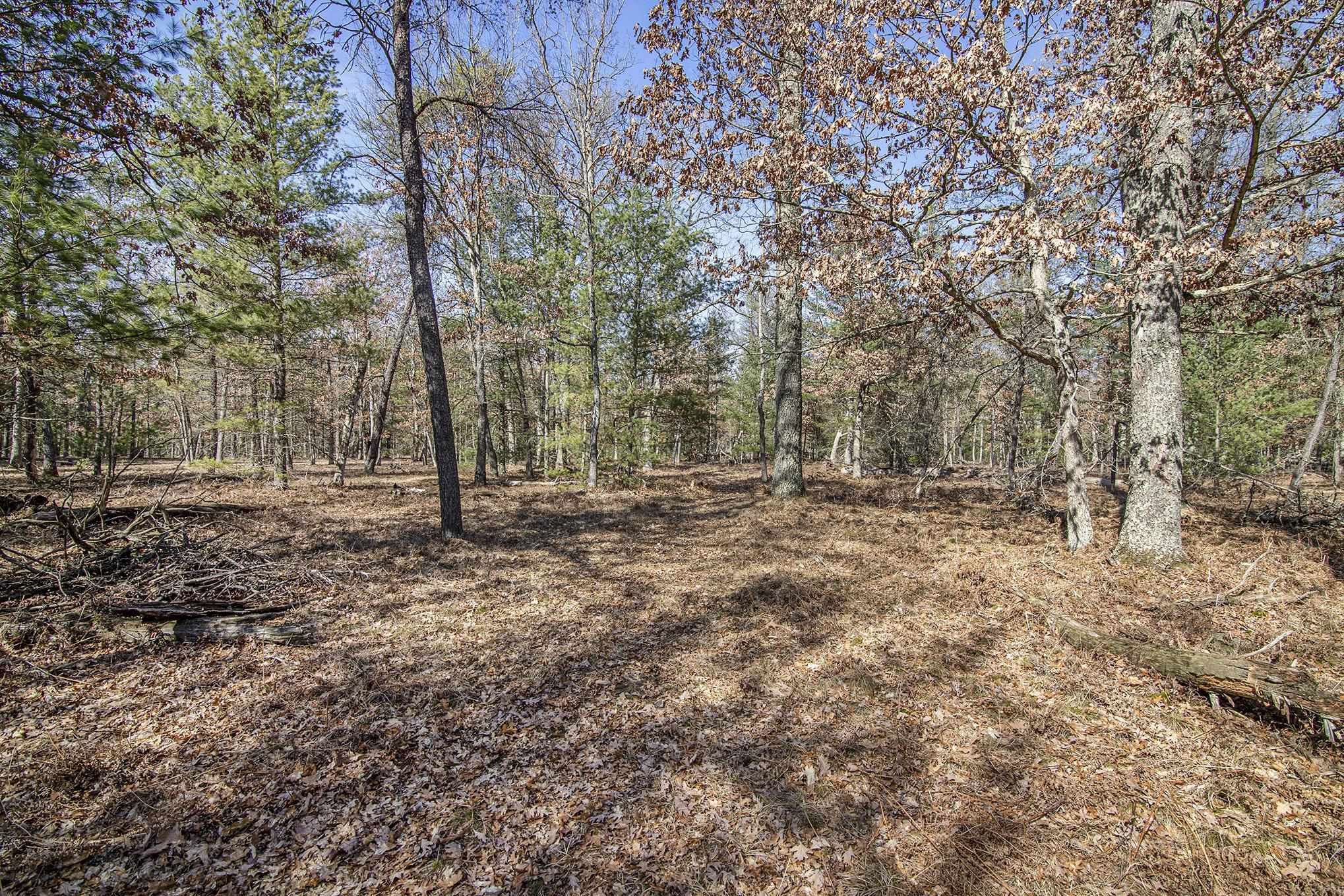 5528 West Wingleton Road Baldwin, MI 49304 - Photo 12 of 20 1926604-B8EA9F51-DD1C-4F49-BCEC-0BEDC9C4EBAC.JPG