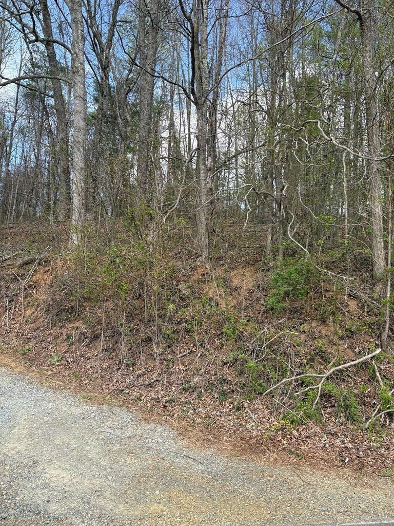 Tbd Tbd Tower Road Galax, VA 24333 - Photo 2 of 10 Gallery Image 2