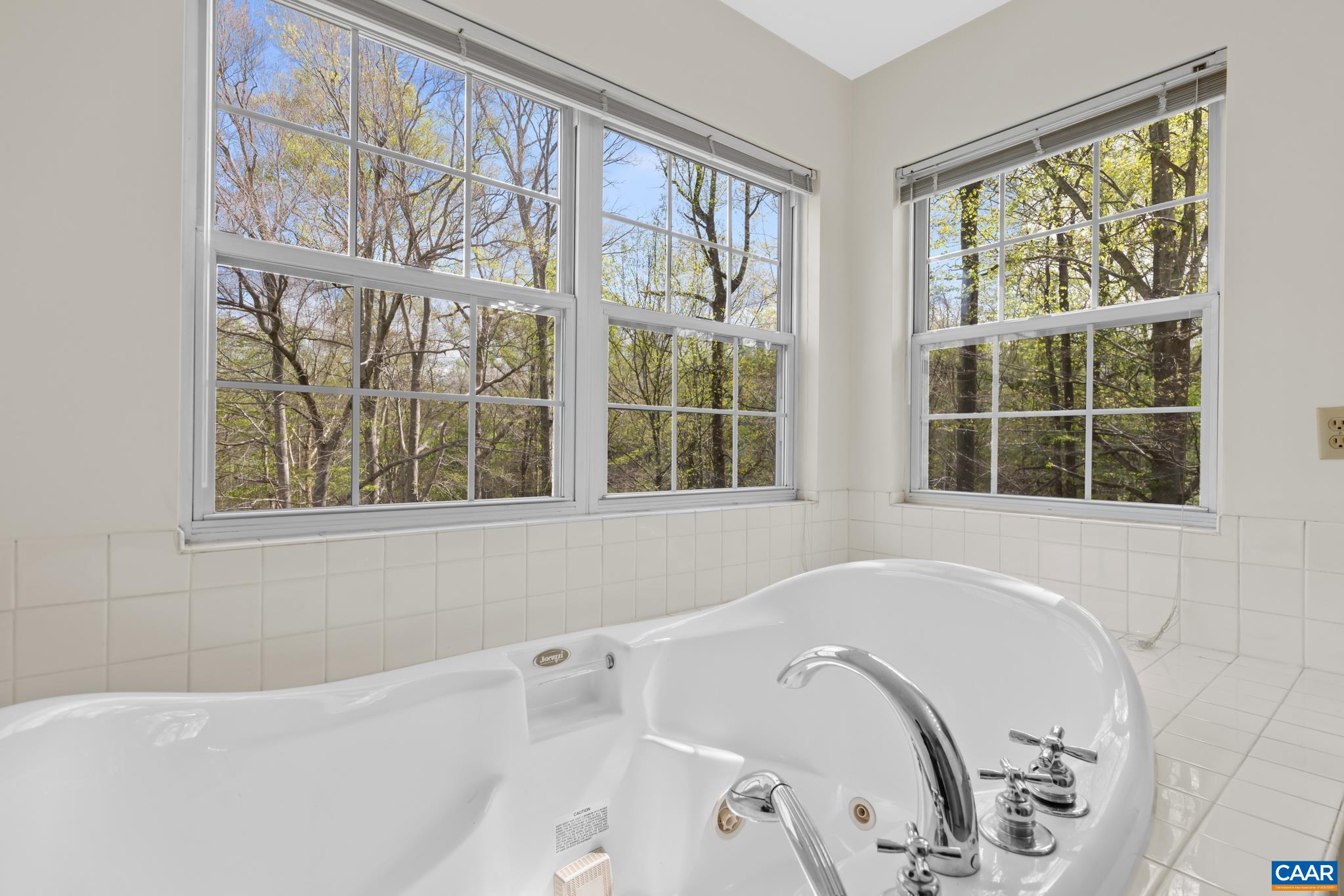 58 Oak Terrace Drive Ruckersville, VA 22968 - Photo 30 of 53