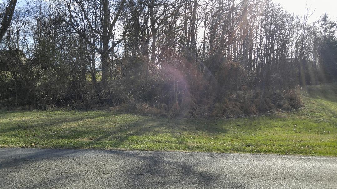975 Allison Road, Unit 1 Piney Flats, TN 37686 - Photo 3 of 4 9753