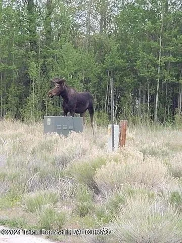 $135,000 | Tbd Tbd Drive, Pinedale, WY 82941