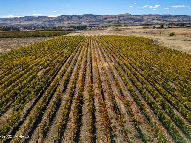 a view of a house with a ocean yard