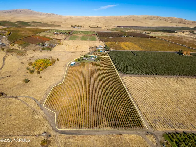 a view of swimming pool with an ocean view