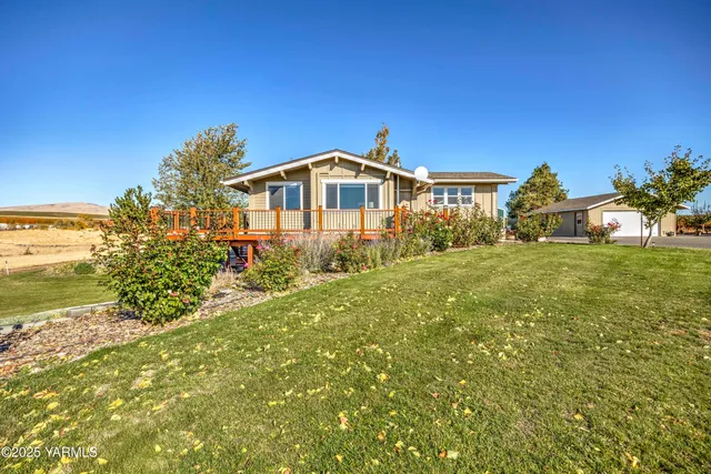 a view of a tree with a tree