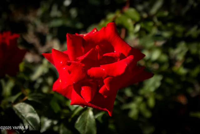 $899,900 | 22207 West Gerrick Road, Benton City, WA 99320